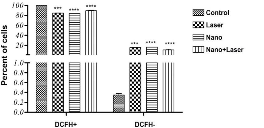 Cytotoxic effect of zinc oxide nanoparticle and diode laser combination in colorectal cancer in vitro via induction of cell cycle arrest and apoptosis