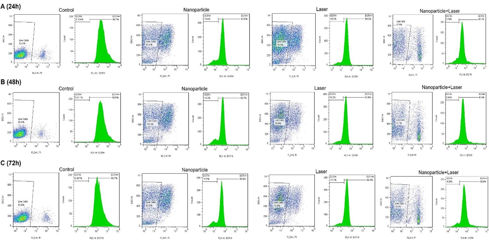 Cytotoxic effect of zinc oxide nanoparticle and diode laser combination in colorectal cancer in vitro via induction of cell cycle arrest and apoptosis