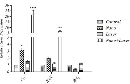 Cytotoxic effect of zinc oxide nanoparticle and diode laser combination in colorectal cancer in vitro via induction of cell cycle arrest and apoptosis