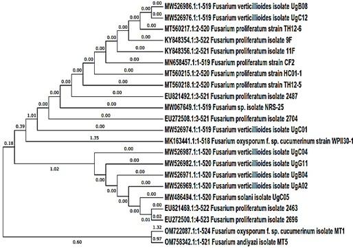 Chemical characterization, antimicrobial, antioxidant and larvicidal activities of certain fungal extracts