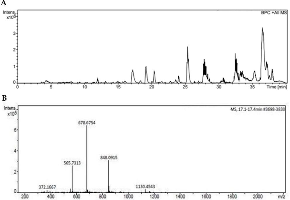 Assessment of antiproliferative and toxic effects of a peptide from Momordica dioica using in vitro and in vivo studies