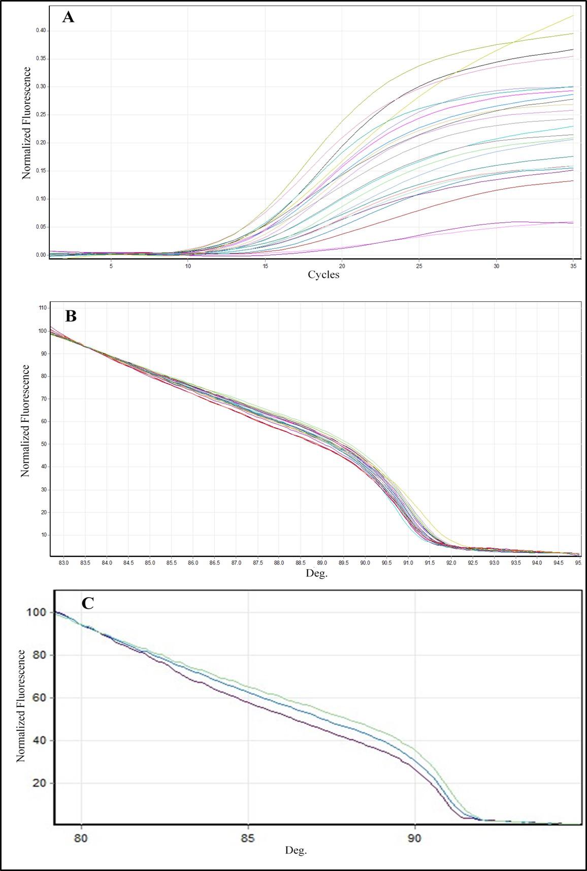 Effect of KISS1 gene variants (rs372790354 G>A and rs4889 G>A) on kisspeptin in patients with polycystic ovary syndrome in Iraq