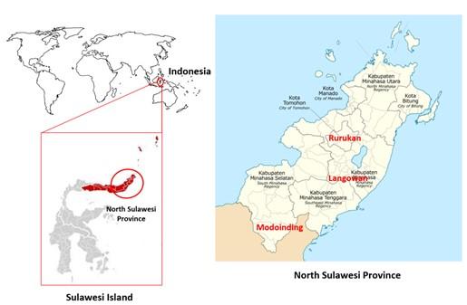 Morphology, diversity and phylogenetic analysis of Spodoptera exigua (Lepidoptera: Noctuidae) in North Sulawesi by employing partial mitochondrial cytochrome oxidase 1 gene sequences