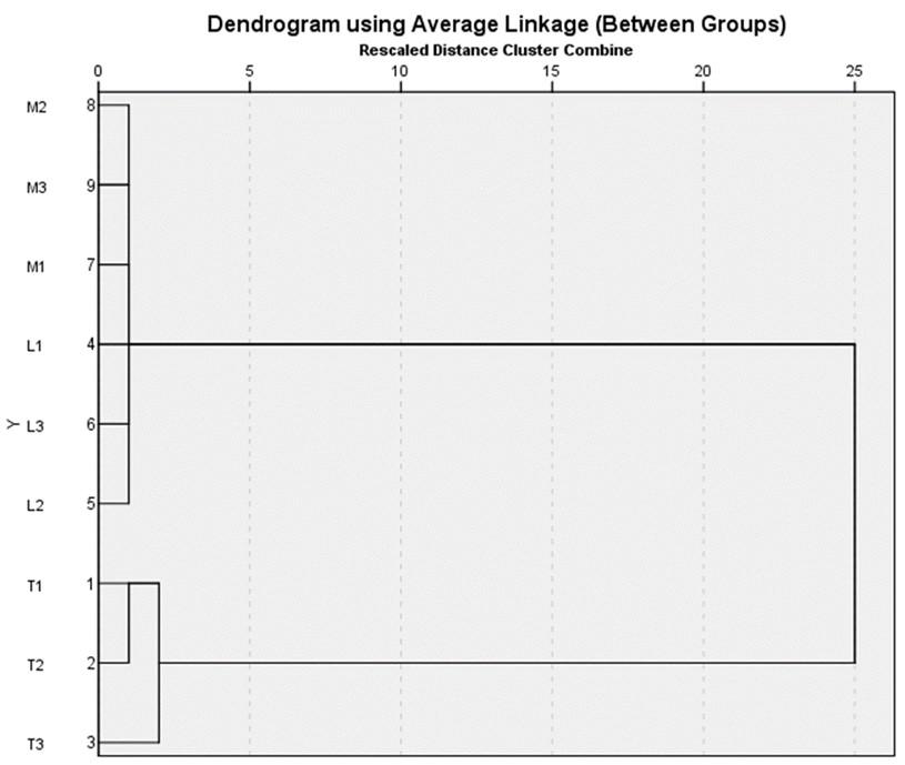 Morphology, diversity and phylogenetic analysis of Spodoptera exigua (Lepidoptera: Noctuidae) in North Sulawesi by employing partial mitochondrial cytochrome oxidase 1 gene sequences