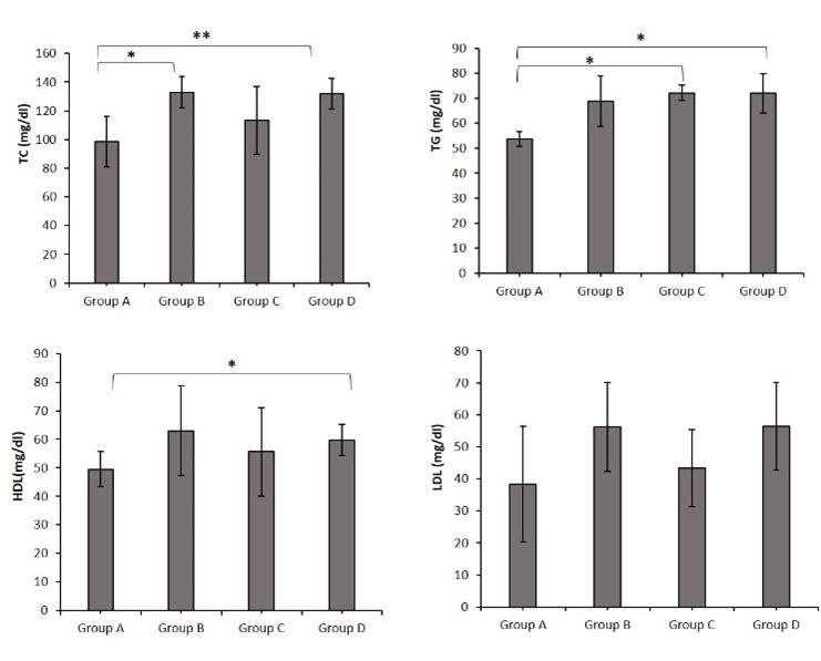 Investigation of growth performance, lipid profile, and liver histotexure of mice treated with butyric acid