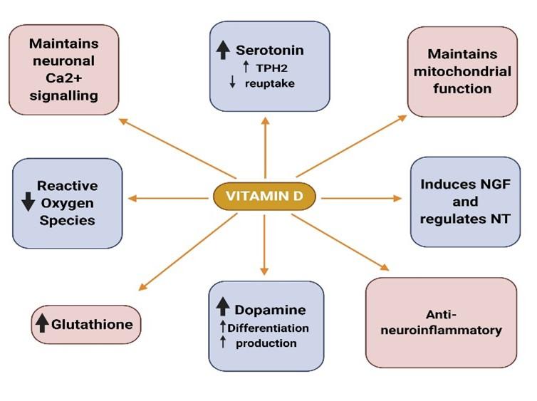 Potential roles of vitamin D in the treatment of COVID-19 patient and improving maternal and child health during pandemic