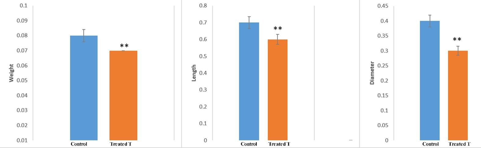 Herbal contraceptive effect of Abrus precatorius, Ricinus communis, and Syzygium aromaticum on anatomy of the testis of male Swiss albino mice