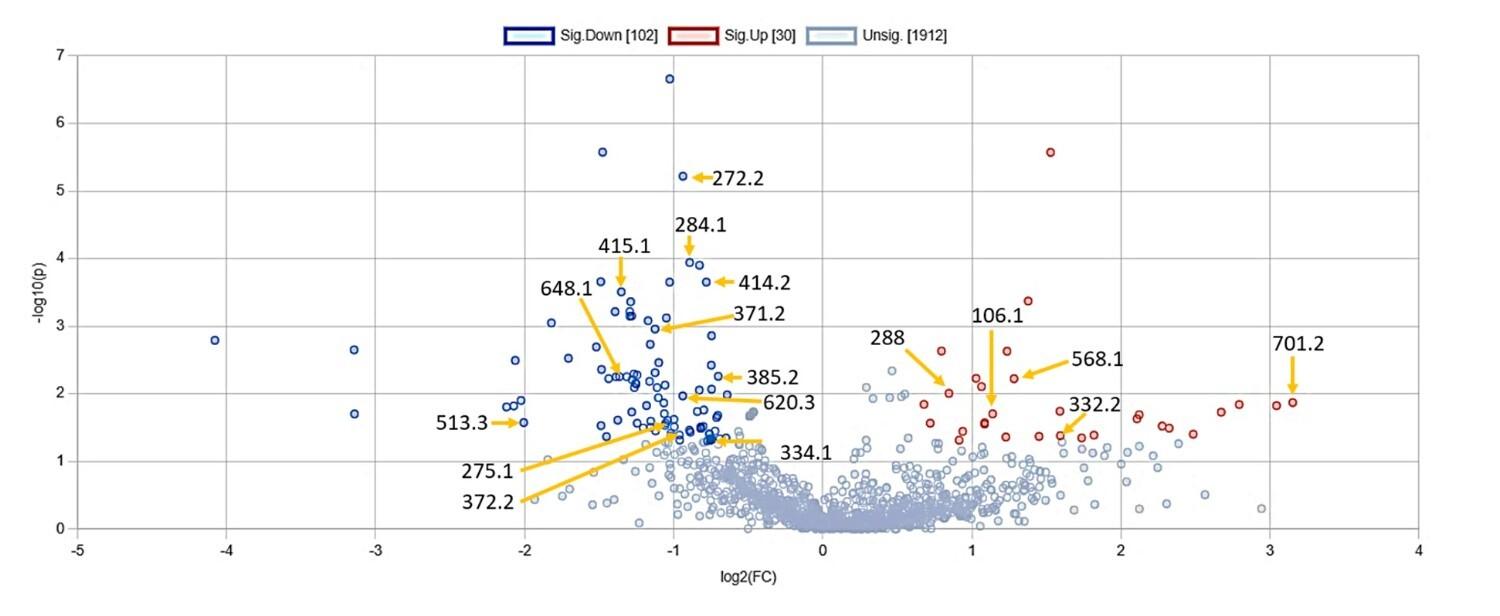 Metabolomic signatures of Ramadan diurnal intermittent fasting in type 2 diabetes mellitus