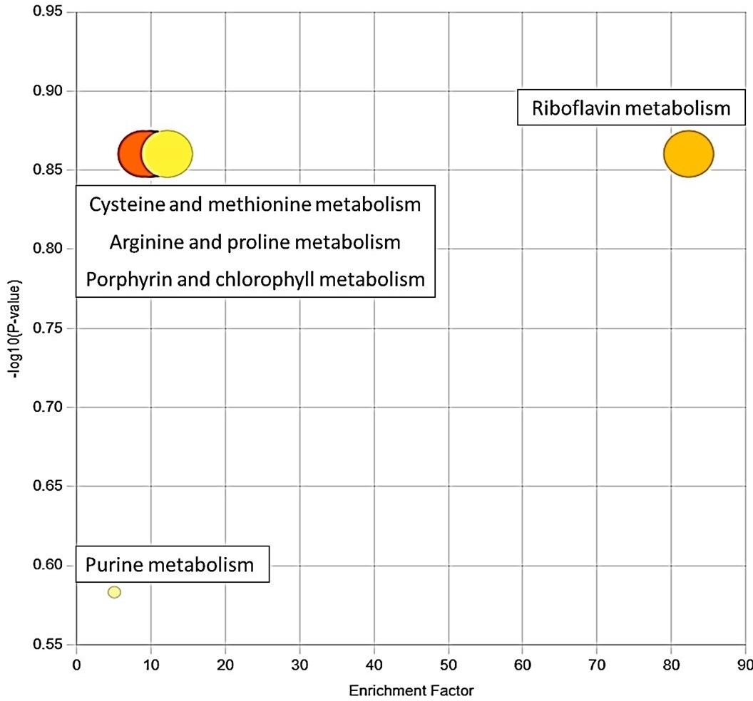 Metabolomic signatures of Ramadan diurnal intermittent fasting in type 2 diabetes mellitus