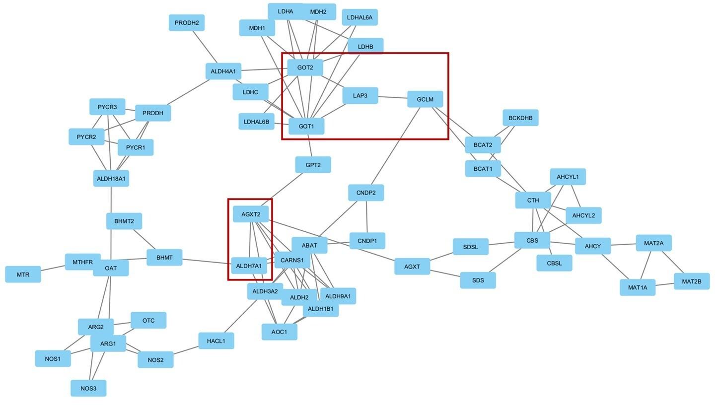 Metabolomic signatures of Ramadan diurnal intermittent fasting in type 2 diabetes mellitus