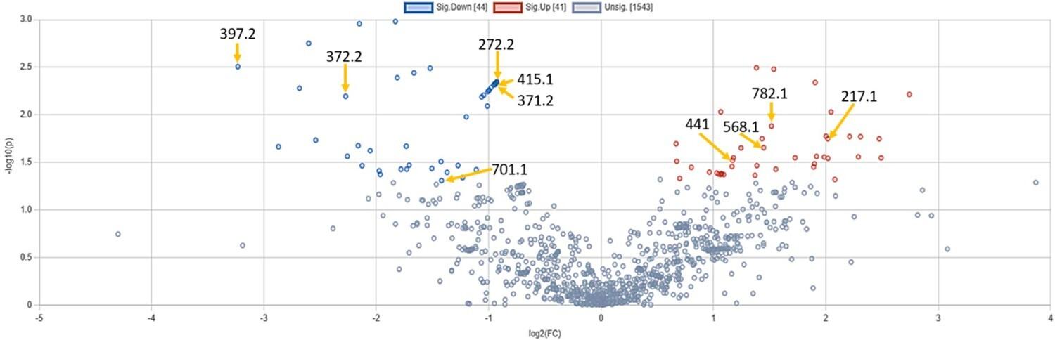 Metabolomic signatures of Ramadan diurnal intermittent fasting in type 2 diabetes mellitus