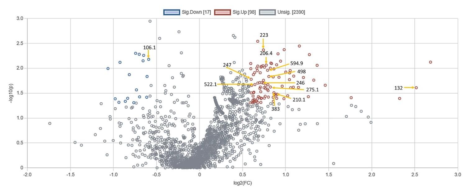 Metabolomic signatures of Ramadan diurnal intermittent fasting in type 2 diabetes mellitus