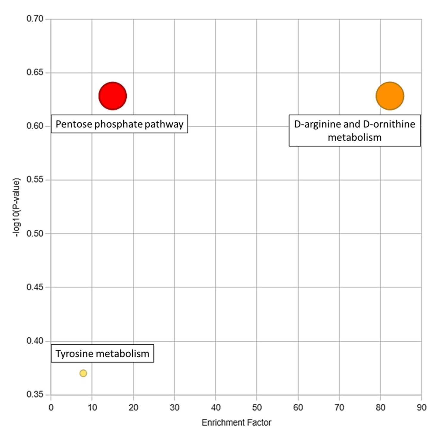 Metabolomic signatures of Ramadan diurnal intermittent fasting in type 2 diabetes mellitus