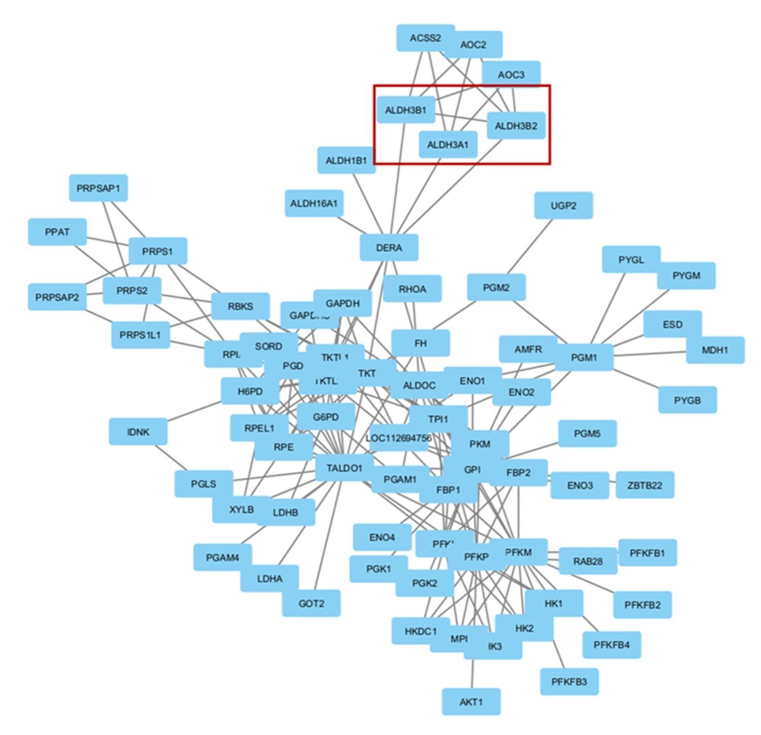 Metabolomic signatures of Ramadan diurnal intermittent fasting in type 2 diabetes mellitus