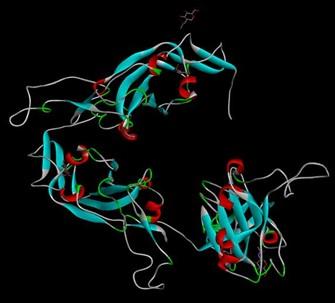 Prediction of B-cell and T-cell epitopes in the spike glycoprotein of SARS-CoV-2 in Bangladesh: An in-silico approach