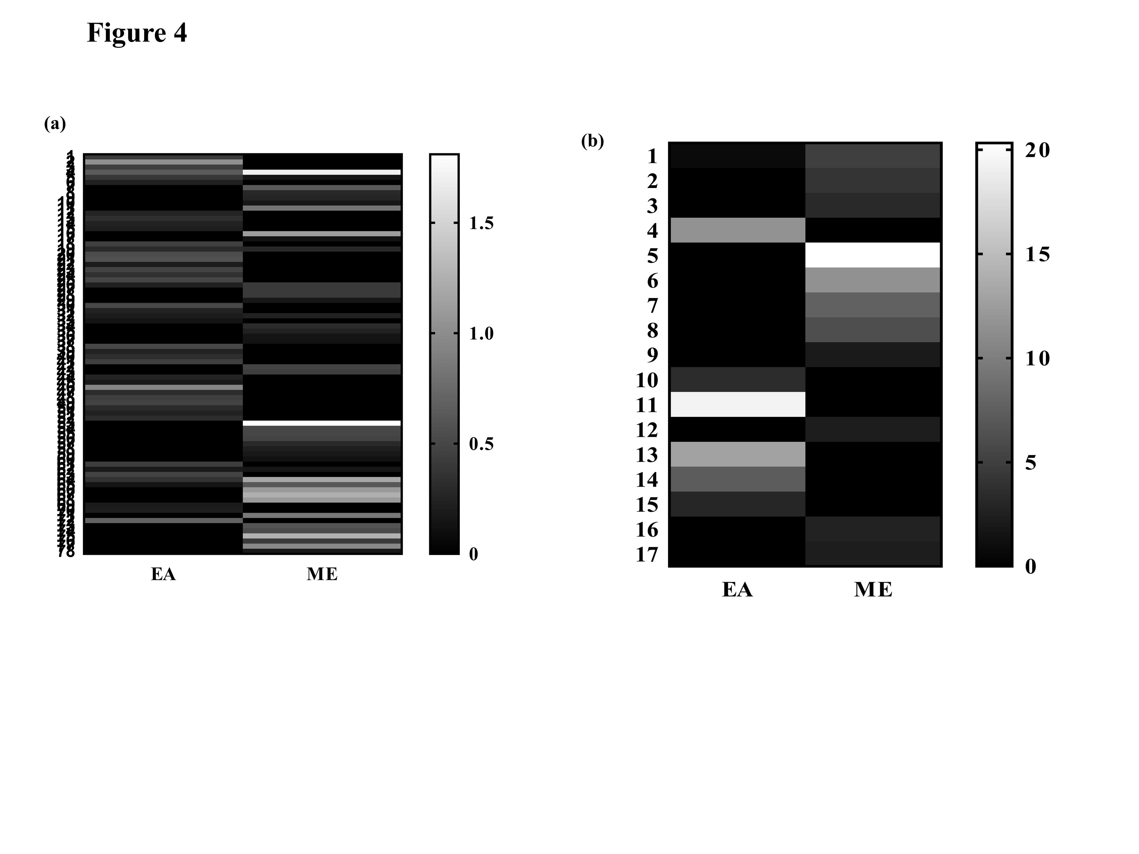 Assessment of the anti-leukemic and antioxidant potential of the methanol extract of a wild, edible, and novel mushroom, Astraeus hygrometricus, and unraveling its metabolomic profile