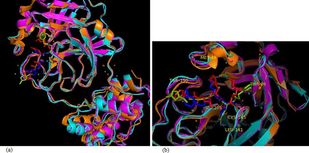 Prediction of SARS-CoV-2 main protease inhibitors in medicinal plant-derived compounds by molecular docking approach