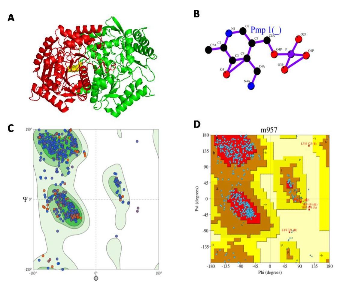 Insilico analysis of γ- aminobutyric acid transaminase (GABA-T) of Brassica napus (Rape)