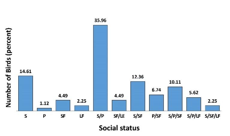 Habit and habitual status with relative diversity study of avifauna of Jaipurhat district of Bangladesh