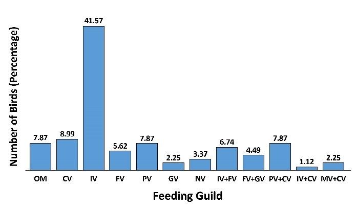 Habit and habitual status with relative diversity study of avifauna of Jaipurhat district of Bangladesh