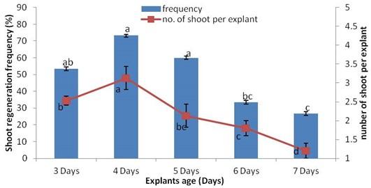 Development of high frequency in vitro plant regeneration protocol of Brassica napus