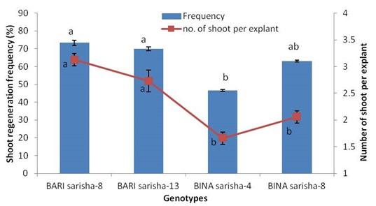 Development of high frequency in vitro plant regeneration protocol of Brassica napus