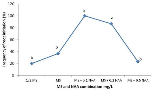 Development of high frequency in vitro plant regeneration protocol of Brassica napus