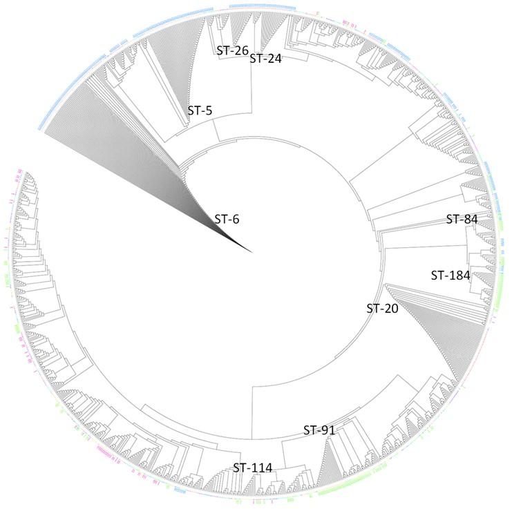 Prevalence and population biology of mastitis-causing Streptococcus uberis using an MLST based approach