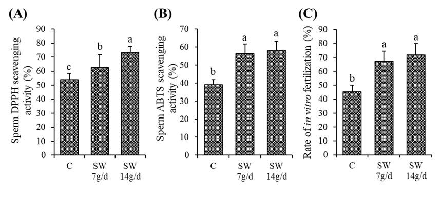 Impact of seaweed on growth performance, sperm quality, and testicular histomorphology of ram