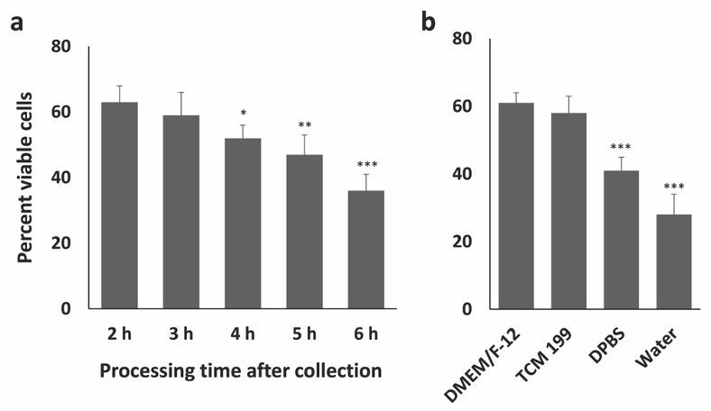 A reliable and easy method to isolate a pure population of bovine granulosa cells from slaughterhouse ovaries for in vitro studies