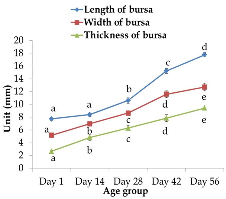 Age-related development and histomorphological observations of bursa of fabricius in sonali chicken