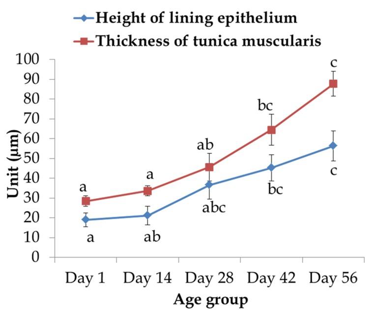 Age-related development and histomorphological observations of bursa of fabricius in sonali chicken