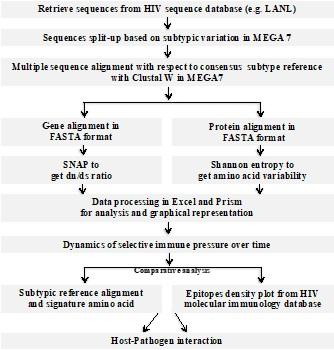 Prediction of immune pressure on HIV-1 regulatory gene tat by human host through bioinformatics tools