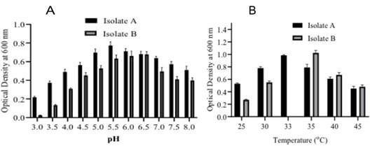 Isolation and characterization of bacteria from two soil samples and their effect on wheat (Triticum aestivum L.) growth promotion