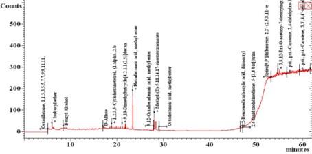 Methanolic extract of Moringa oleifera leaves mediates anticancer activities through inhibiting NF-𝜅B and enhancing ROS in Ehrlich ascites carcinoma cells in mice