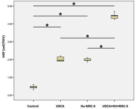 Human mesenchymal stem cell secretome increases hepatocyte growth factor expression and promotes liver regeneration in Wistar rats with cholestasis