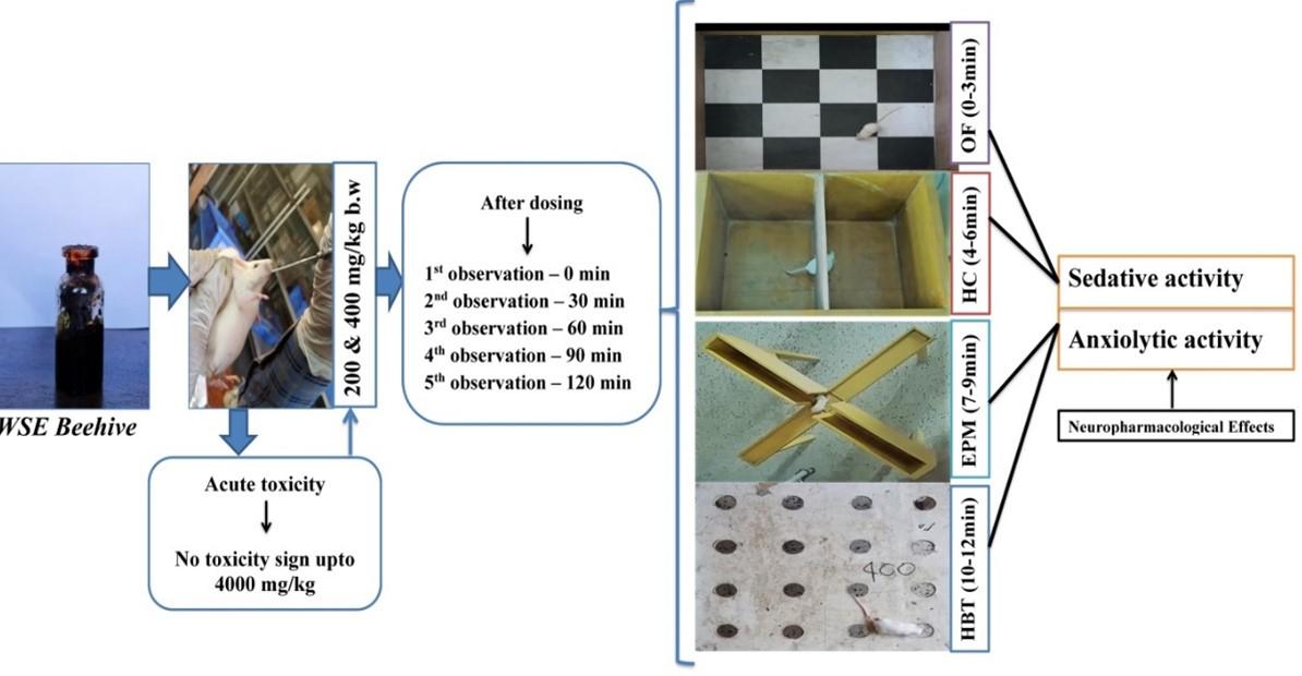 Possible neuropharmacological effects of Apis cerana indica beehive in the Swiss Albino mice