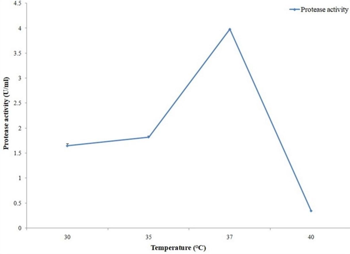 Optimization of production and partial characterization of cellulase and protease enzymes from Aeromonas hydrophila ASM-S32