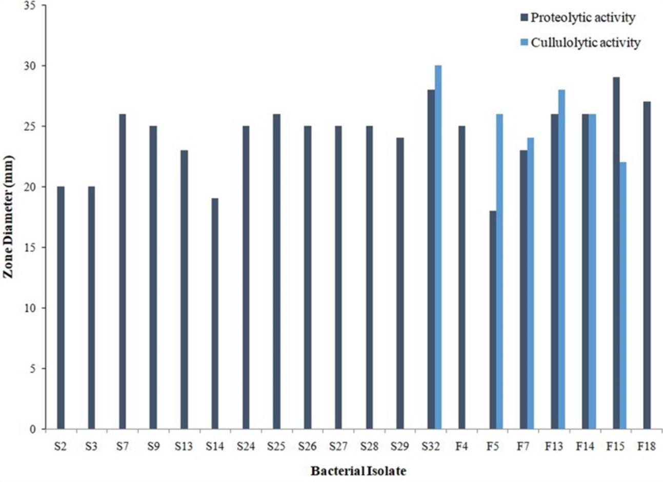 Optimization of production and partial characterization of cellulase and protease enzymes from Aeromonas hydrophila ASM-S32