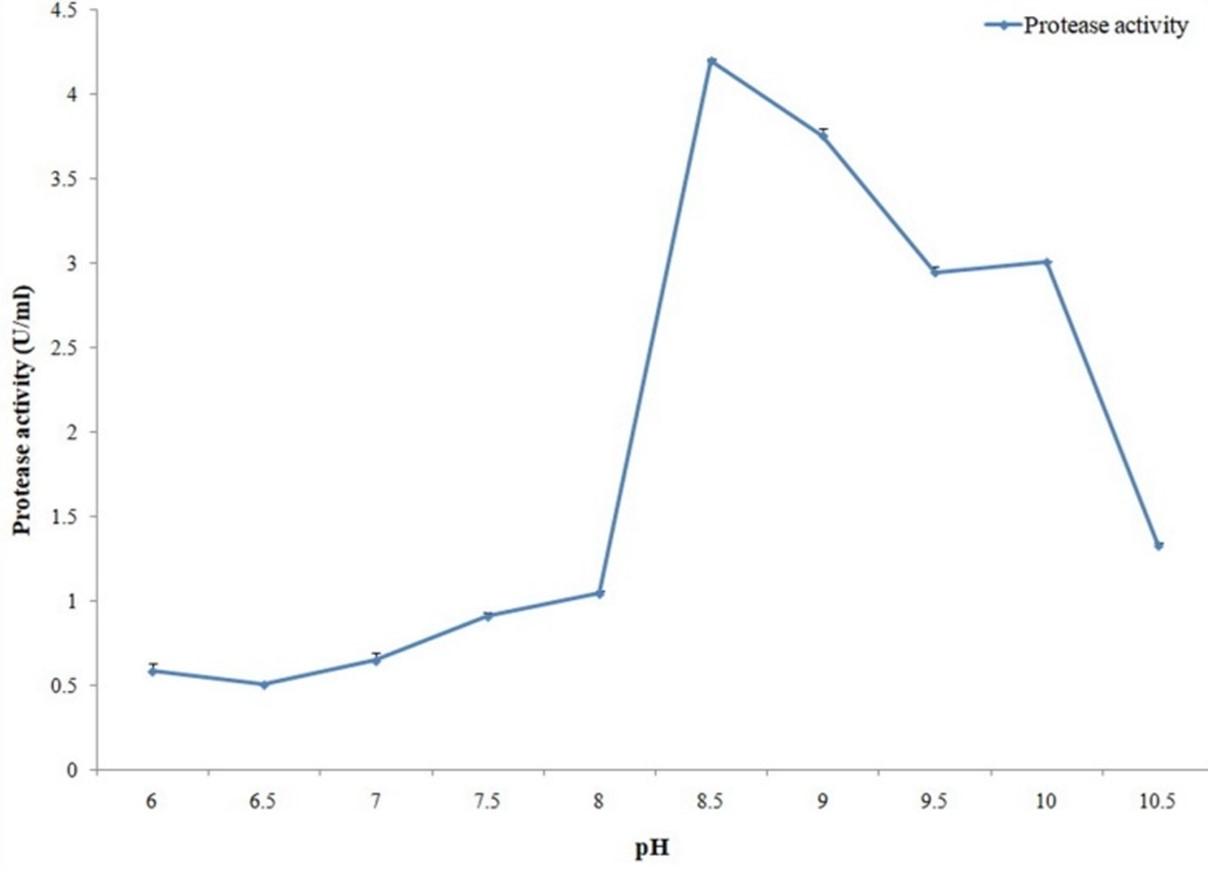 Optimization of production and partial characterization of cellulase and protease enzymes from Aeromonas hydrophila ASM-S32