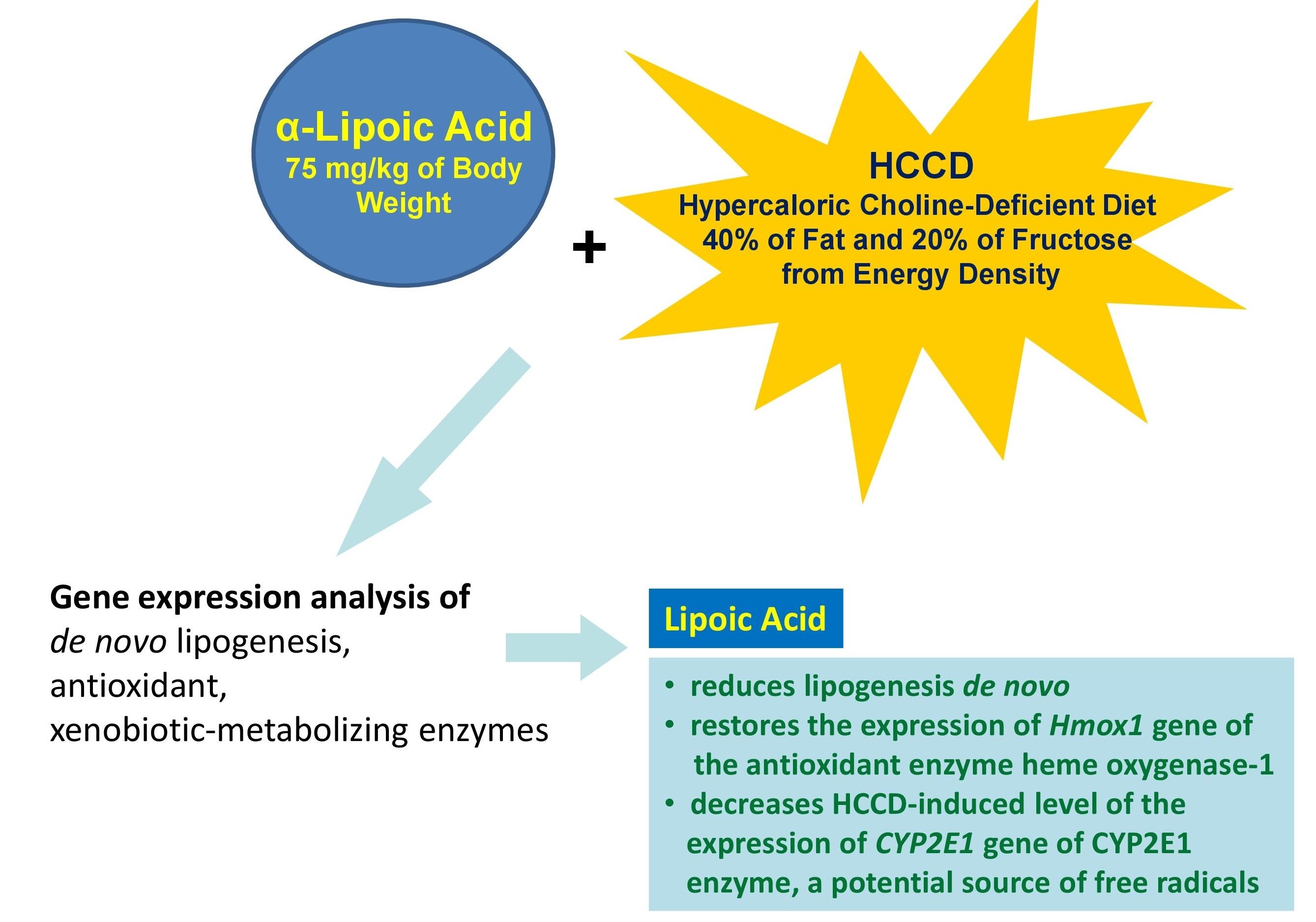 Effect of lipoic acid on the expression of nonalcoholic fatty liver disease-associated genes in the liver of rats fed a hypercaloric choline-deficient diet