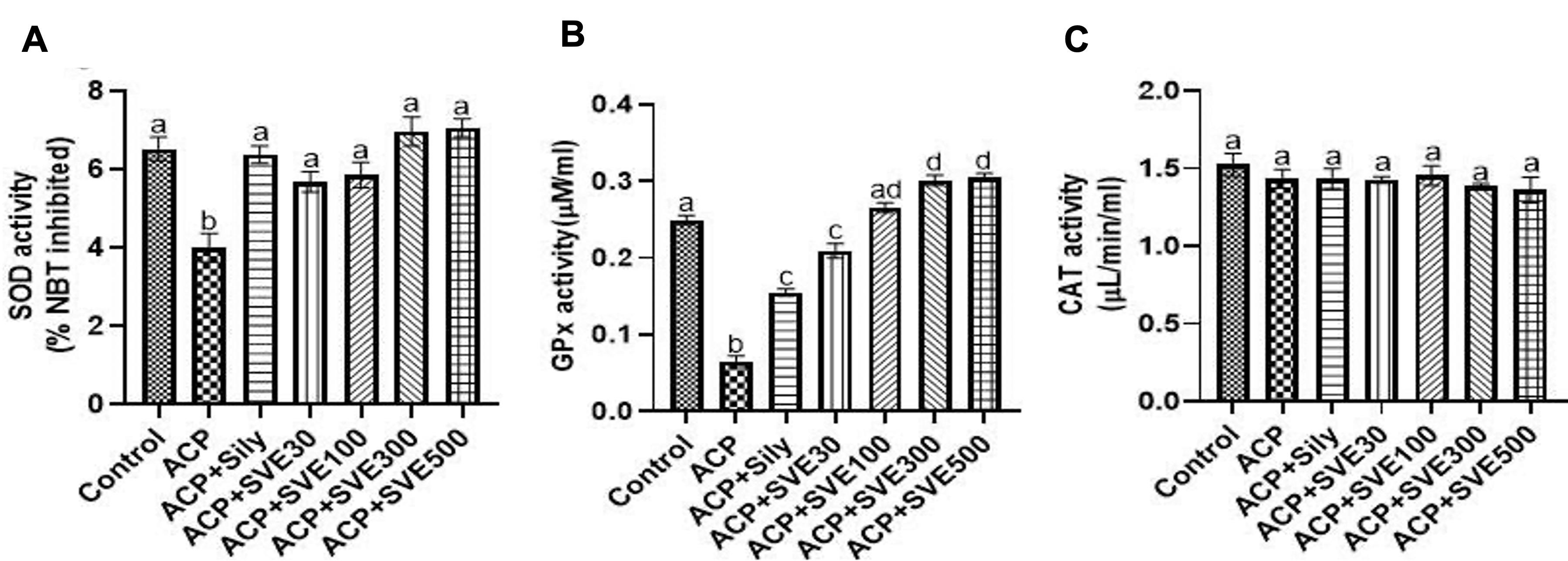 Antioxidant and hepatoprotective effects of <span>Solanum villosum </span> leaf extracts against acetaminophen-induced mouse model of hepatotoxicity