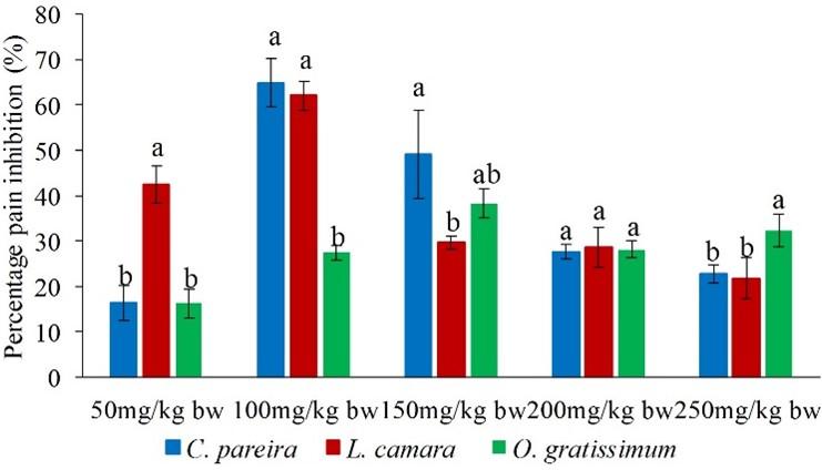 Antinociceptive potential of methanol leaf extracts of Cissampelos parreira (Linn), Lantana camara (Linn) and Ocimum gratissimum (African basil)