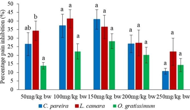 Antinociceptive potential of methanol leaf extracts of Cissampelos parreira (Linn), Lantana camara (Linn) and Ocimum gratissimum (African basil)