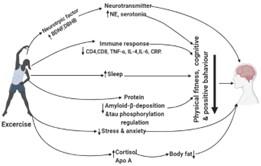 Management of mental health during COVID-19 pandemic: possible strategies