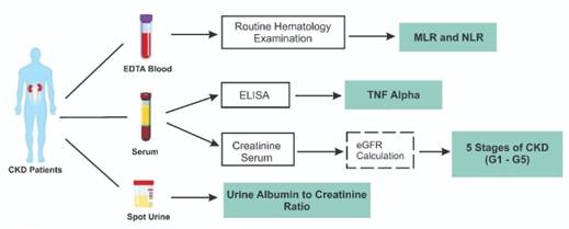 Association of monocyte-to-lymphocyte ratio, neutrophil-to-lymphocyte ratio, and tumor necrosis factor-α in various stages of chronic kidney disease