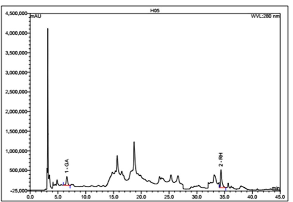 Pomegranate fruit peel extract improves cardiac functions via suppressing oxidative stress, fibrosis, and myocardial infarction in Long-Evans rats