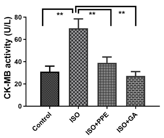 Pomegranate fruit peel extract improves cardiac functions via suppressing oxidative stress, fibrosis, and myocardial infarction in Long-Evans rats