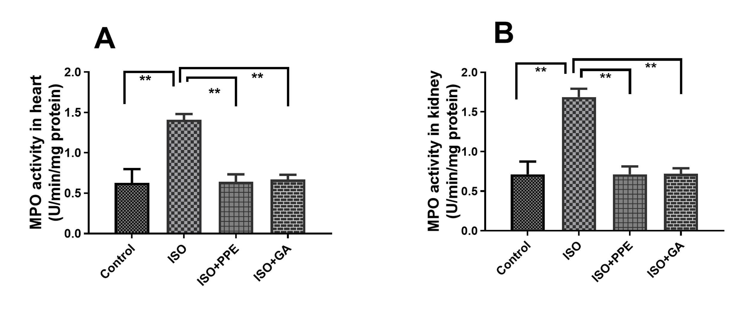 Pomegranate fruit peel extract improves cardiac functions via suppressing oxidative stress, fibrosis, and myocardial infarction in Long-Evans rats