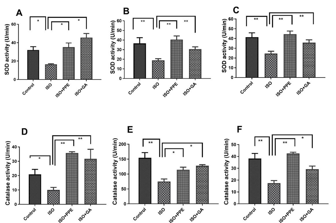 Pomegranate fruit peel extract improves cardiac functions via suppressing oxidative stress, fibrosis, and myocardial infarction in Long-Evans rats